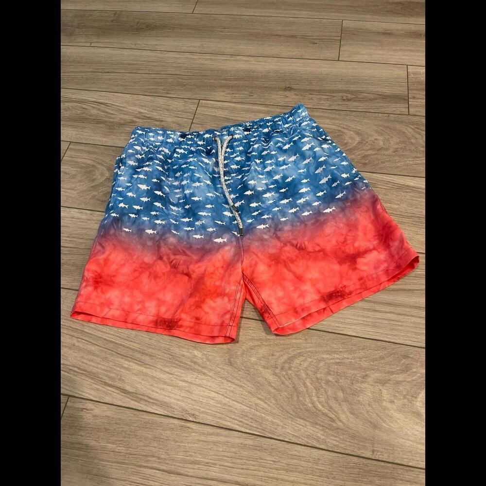 The endless summer swim trunks